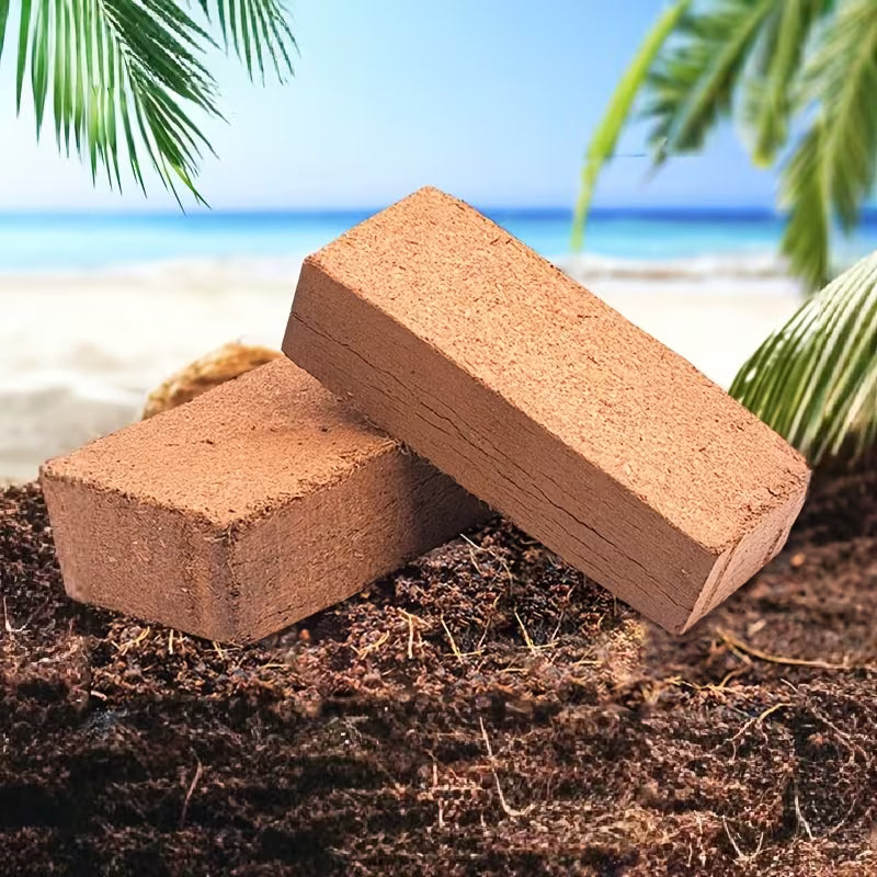 Premium Compressed Coco Coir Bricks – Organic Planting Substrate for Gardening, Flowers & Vegetables