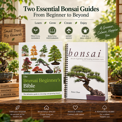 The Complete Bonsai Beginner’s Collection
