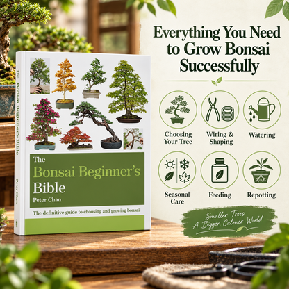 The Complete Bonsai Beginner’s Collection