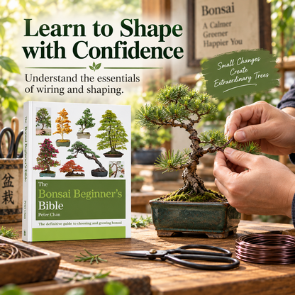 The Complete Bonsai Beginner’s Collection