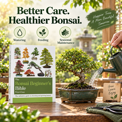 The Complete Bonsai Beginner’s Collection