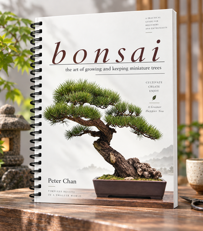 The Complete Bonsai Beginner’s Collection